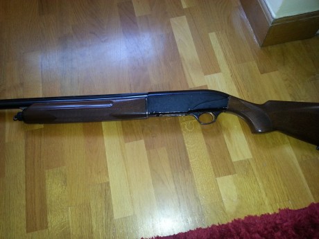 Vendo repetidora por gases, marca Breda calibre 12. Lleva polichoques exteriores.
Tambien cambio pero 00