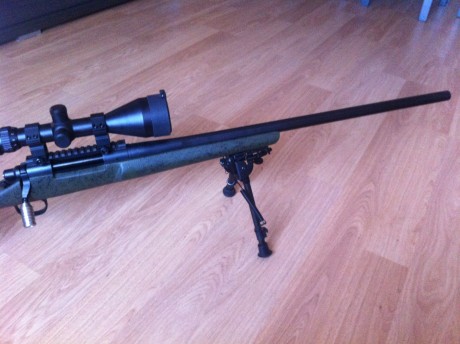 Vendo tambien mi joya de la corona.
Podeis mirar en borches el precio, comprado en 2012.
El rifle a tirado 12