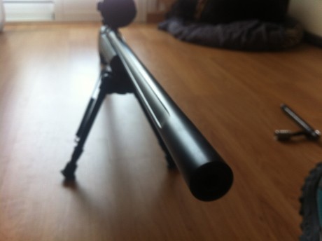 Vendo tambien mi joya de la corona.
Podeis mirar en borches el precio, comprado en 2012.
El rifle a tirado 10