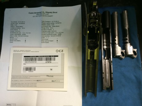 Se vende cz sp 01 shadow,Cal. 9mmpb con tres cargadores . Perfecto estado y pocos tiros. Perfecta para 01