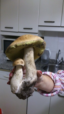 Suma y sigue...  :zebFat: 70