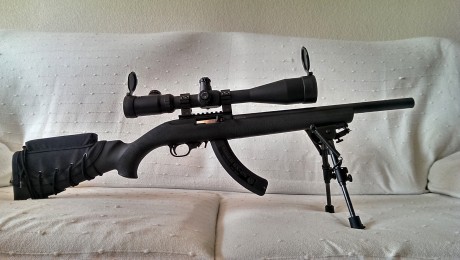 Quiero comprar una culata Hogue para una Ruger 10/22.

En Brownewlls Iberica tienen varios modelos pero 41