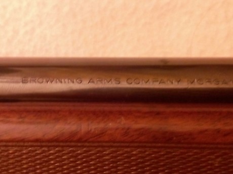 Estoy buscando un rifle y no quiero gastarme mucho porque solo voy a 4 o 5 monterias al año.he encontrado 11