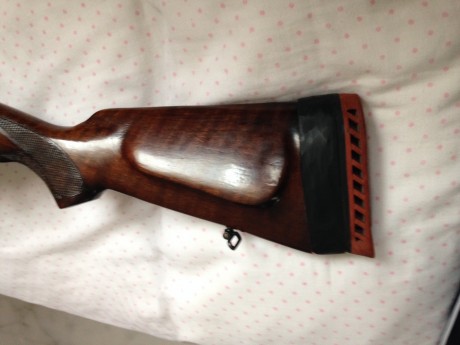 Hola a todos,

Vendo mi escopeta repetidora Toz Tula modelo MC 2112. Es una joya Rusa, hecha para soportar 92