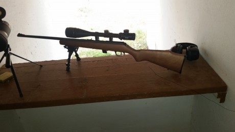 muy buenas tardes a todos tengo una caravina jw21 de norinco y he decidido dar un paso mas ya que pertenezco 80