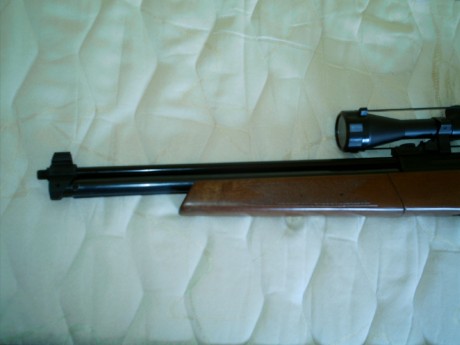 Pongo a la venta carabina Sharp Innova, calibre 5,5, de madera, metal impecable, visor Tasco (chino ) 02