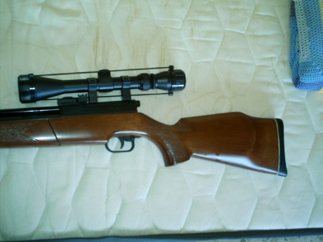 Pongo a la venta carabina Sharp Innova, calibre 5,5, de madera, metal impecable, visor Tasco (chino ) 01