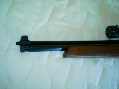 Pongo a la venta carabina Sharp Innova, calibre 5,5, de madera, metal impecable, visor Tasco (chino ) 12