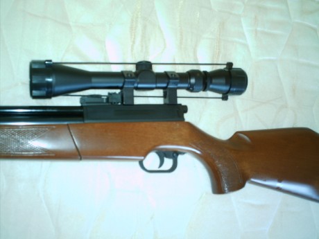 Pongo a la venta carabina Sharp Innova, calibre 5,5, de madera, metal impecable, visor Tasco (chino ) 11