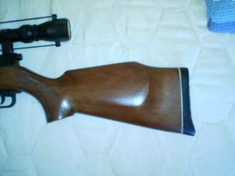 Pongo a la venta carabina Sharp Innova, calibre 5,5, de madera, metal impecable, visor Tasco (chino ) 10