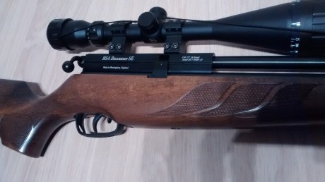 Pues eso, vendo mi BSA Buccaneer en .177 impoluta tanto de madera, metal y funcionamiento. Va muy fina.
Está 00