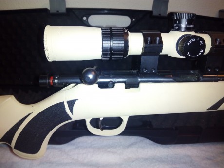 Buenos dias, pongo a la venta mi carabina MARLIN xt 22 vr, por no utilizar. Solo a disparado 200 cartuchos. 00
