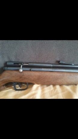 Benjamin discovery en 4'5 en impecable estado. Va en su caja original. Se vende la carabina sola. Adjunto 00