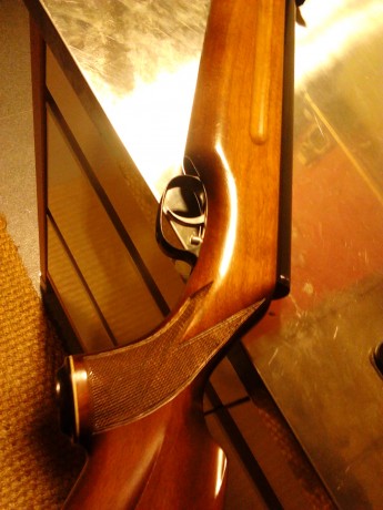 Hola, vendo esta preciosidad de carabina en perfecto estado estètico y funcional, muelle de 16 julios, 02