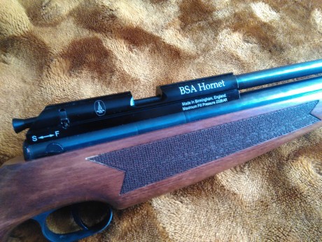 Bueno pues lamentablemente tengo que deshacerme de esta carabina,  para que entren unas deben salir otras, 11