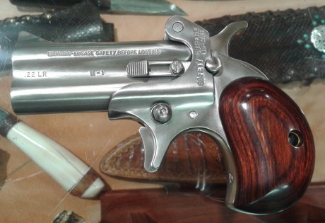  image.jpg Vendo American Derringer del cal. 22 lr guiada en Ae para poner en el libro de coleccionista 00