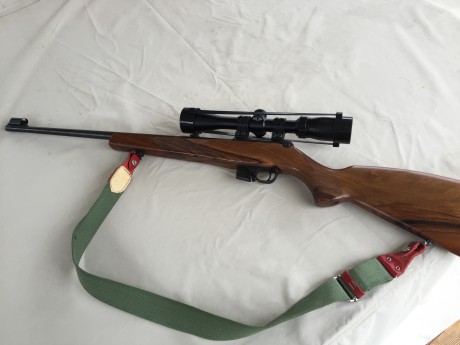 Buenas, amigos.
Siguiendo con mi política de hacerme con una buena pistola del 22 y deshacerme del resto 02