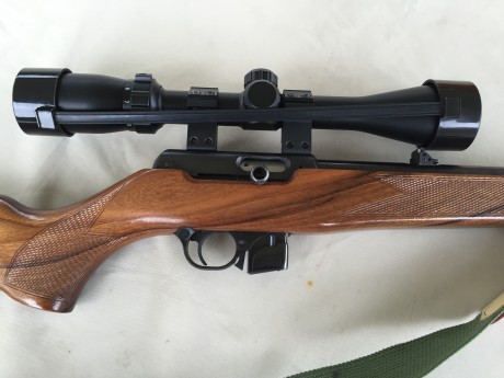 Buenas, amigos.
Siguiendo con mi política de hacerme con una buena pistola del 22 y deshacerme del resto 00