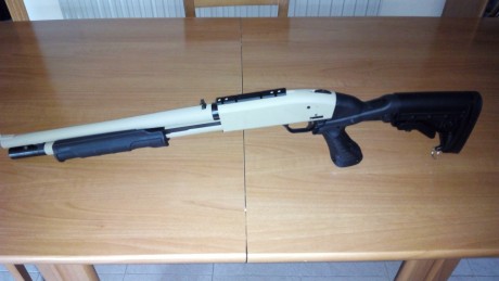 Buenas tardes, cambio escopeta Mossberg 500ATP Tactical por prensa de recarga progresiva tipo Dillon 550 20