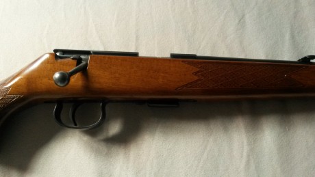 Vendo 01