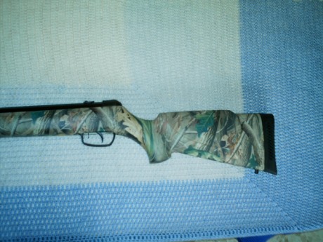 Pues lo que pone la cabecera, compañeros, vendo una carabina Gamo Hunter 440 en calibre 6,35, modelo camo, 02