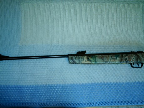 Pues lo que pone la cabecera, compañeros, vendo una carabina Gamo Hunter 440 en calibre 6,35, modelo camo, 01