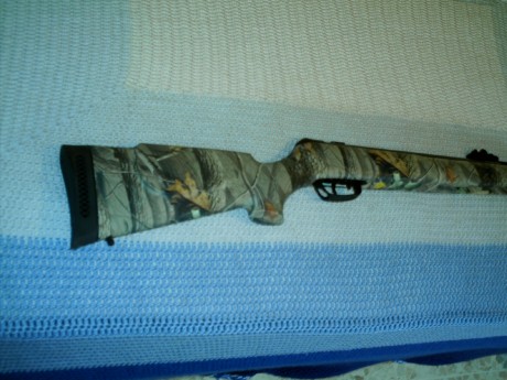 Pues lo que pone la cabecera, compañeros, vendo una carabina Gamo Hunter 440 en calibre 6,35, modelo camo, 10