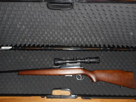 *********************VENDIDA*************************************


VENDO CARABINA ONENA DEL CALIBRE 9parabellum 60