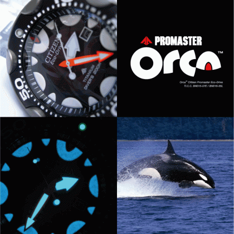 Diver's Watch  CITIZEN PRO-MASTER ECO-DRIVE TITANIUM "ORCA" 200 M.  Modelo Top equipado con 20