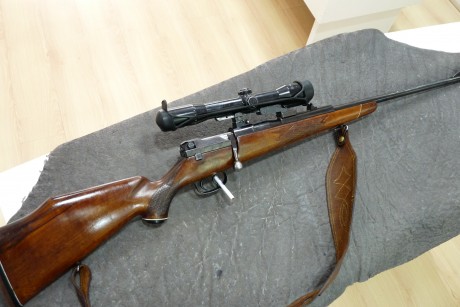 Buenas tardes, por exceso de armas pongo a la venta un Mauser 66, calibre 7mm Rem Mag, equipado con bases 01