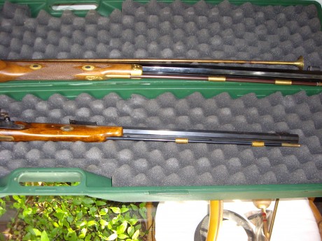 Vendo rifle Ardesa Hawkeen 451 Match con diopter y túnel, carabina Dikar Squirrel Cal. 32 y pistola Ardesa 01