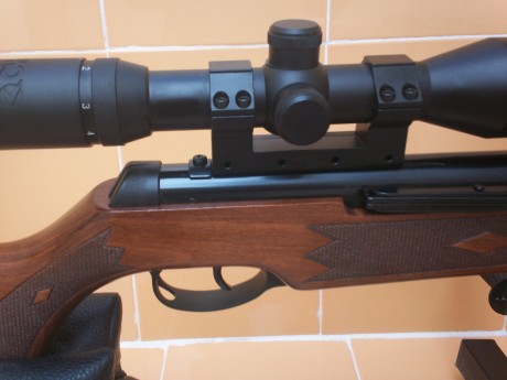 vendo carabina norica quick cal 4.5 en perfecto estado tanto estetico como mecanico,con visor gamo 1.5-6x44 21