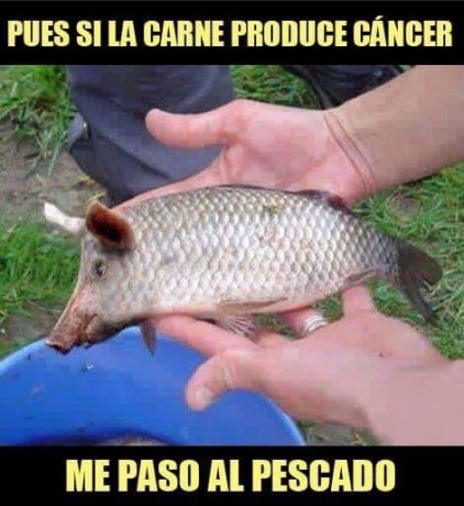Después de las noticias vertidas a través de la OMS advirtiendo de lo cancerígeno de los embutidos y carnes 100