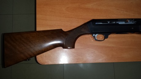 Hola a todos.
Vendo Escopeta Benelli SL. Cal.12.
La escopeta se encuentra en Miranda de Ebro (Burgos).
En 00