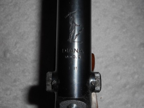 Modelo 6

Es un ejemplar muy preciso.
Se compro en Kettner. 32