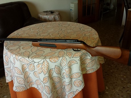VENDO carabina de aire del cal. 5,5. Marca: Gamo Máxima Express. Dispara balines del 5,5 y cartuchitos 00
