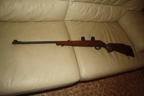 Estupenda carabina de cerrojo. La he usado para empezar en br50, el anterior propietario la usaba en carabina 01