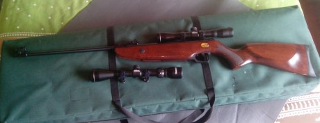 Hola, se vende Norica Krono del 5,5 con poco uso. Se entrega con visor de 4 aumentos y otro 3x9 ,ambos 02
