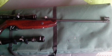 Hola, se vende Norica Krono del 5,5 con poco uso. Se entrega con visor de 4 aumentos y otro 3x9 ,ambos 10