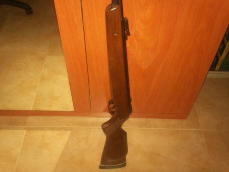 vendo carabina gamo CF30 cal 5.5,en perfecto estado ecepto por una marca en la madera,se aprecia en una 02