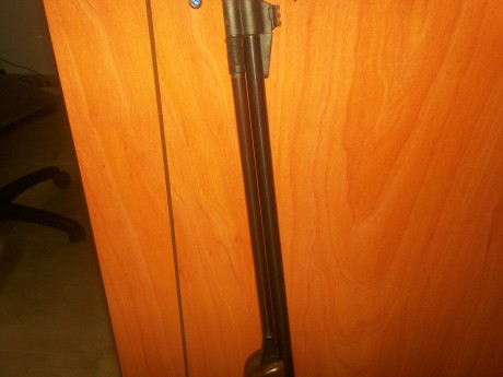 vendo carabina gamo CF30 cal 5.5,en perfecto estado ecepto por una marca en la madera,se aprecia en una 01