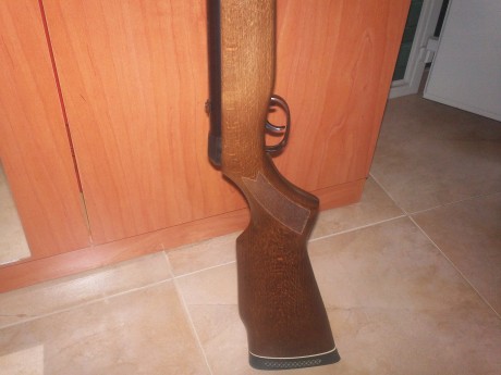 vendo carabina gamo CF30 cal 5.5,en perfecto estado ecepto por una marca en la madera,se aprecia en una 00