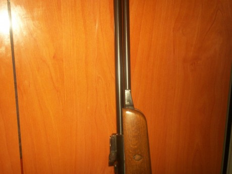 vendo carabina gamo CF30 cal 5.5,en perfecto estado ecepto por una marca en la madera,se aprecia en una 11