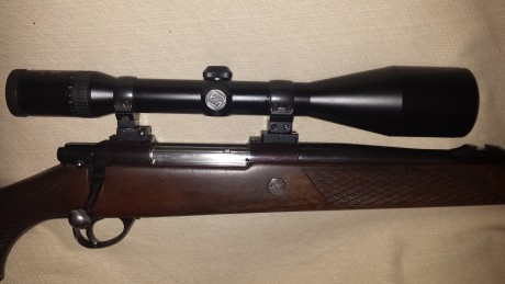 vendo un sako calibre 7mm REM MAG  , con monturas apel y visor zeiss diavari 3-12x56 , con grabados en 01