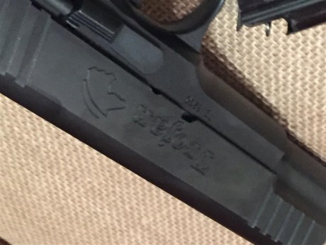 VENDO

Pistola STI TROJAN, cañón de 5'
Calibre 9mm Parabellum

Cargador Monohilera
Cachas de Palo Rosa

Tira 20