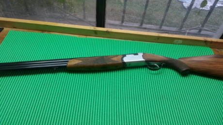 Hola a todos, vendo mi Beretta S56e, superpuesta monogatillo,  71 cm de cañon * y **, ejectora.  Funda 02