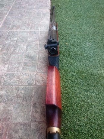 Hola, vendo FEINWERKBAU 300S con diopter y visor Gamo 3-9X32. La compre hace 6 meses a un compañero de 11