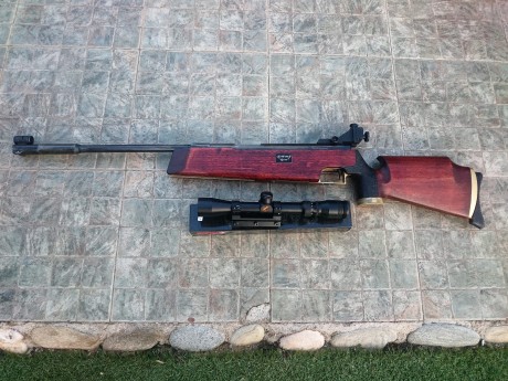 Hola, vendo FEINWERKBAU 300S con diopter y visor Gamo 3-9X32. La compre hace 6 meses a un compañero de 21