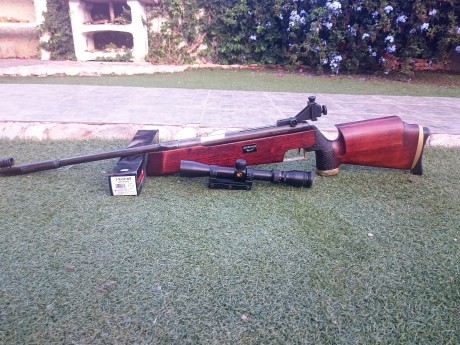 Hola, vendo FEINWERKBAU 300S con diopter y visor Gamo 3-9X32. La compre hace 6 meses a un compañero de 20