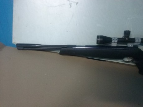 Hola a todos.

Pongo a la venta estas dos carabinas:

Weihrauch HW97k 5.5 black line   230 euros
BSA Lightning 01